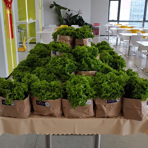 6686������������