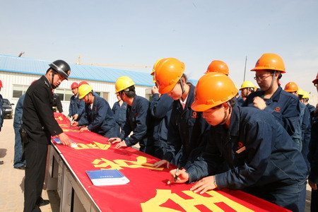 6686������������