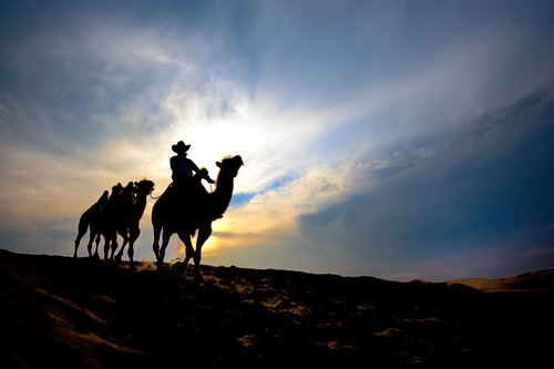 6686������������