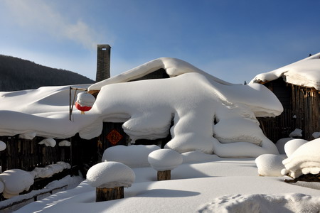 6686������������