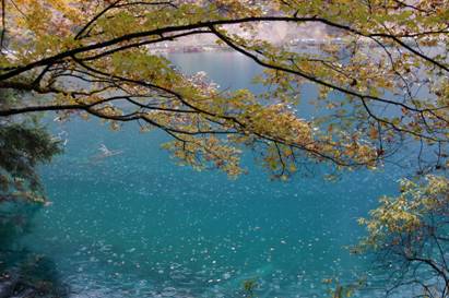 6686������������