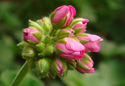 6686������������