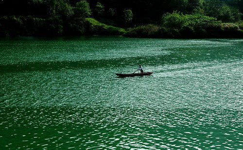 6686������������