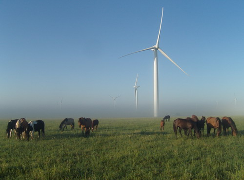 6686������������