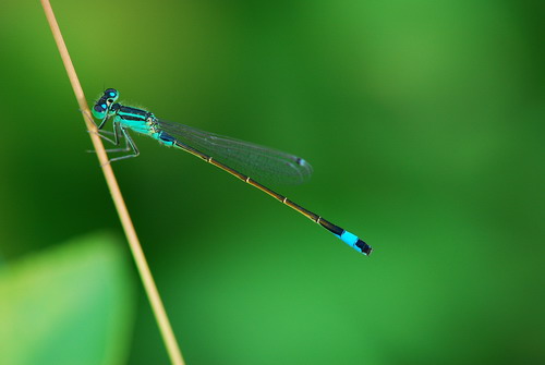 6686������������