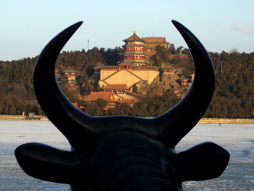 6686������������