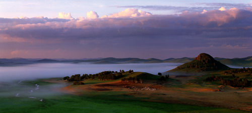 6686������������