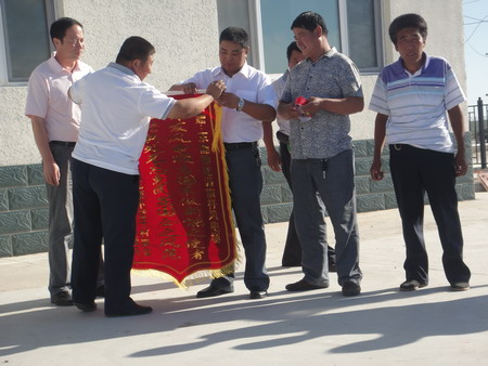 6686������������