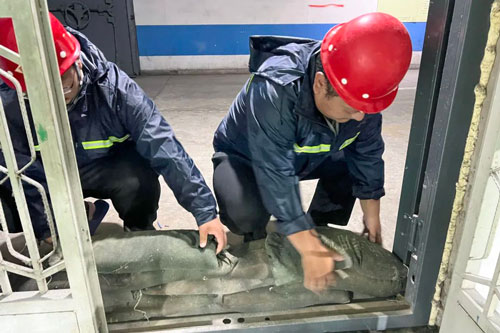 6686������������