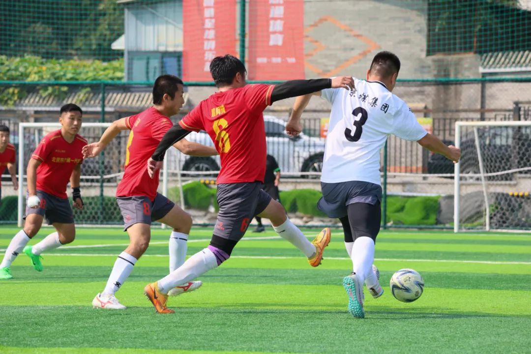 6686������������